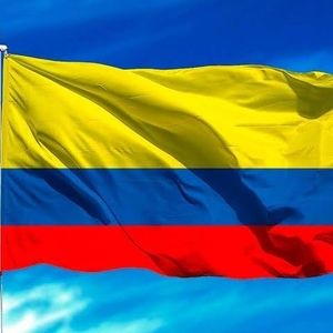 Meet your Posher, David fabian